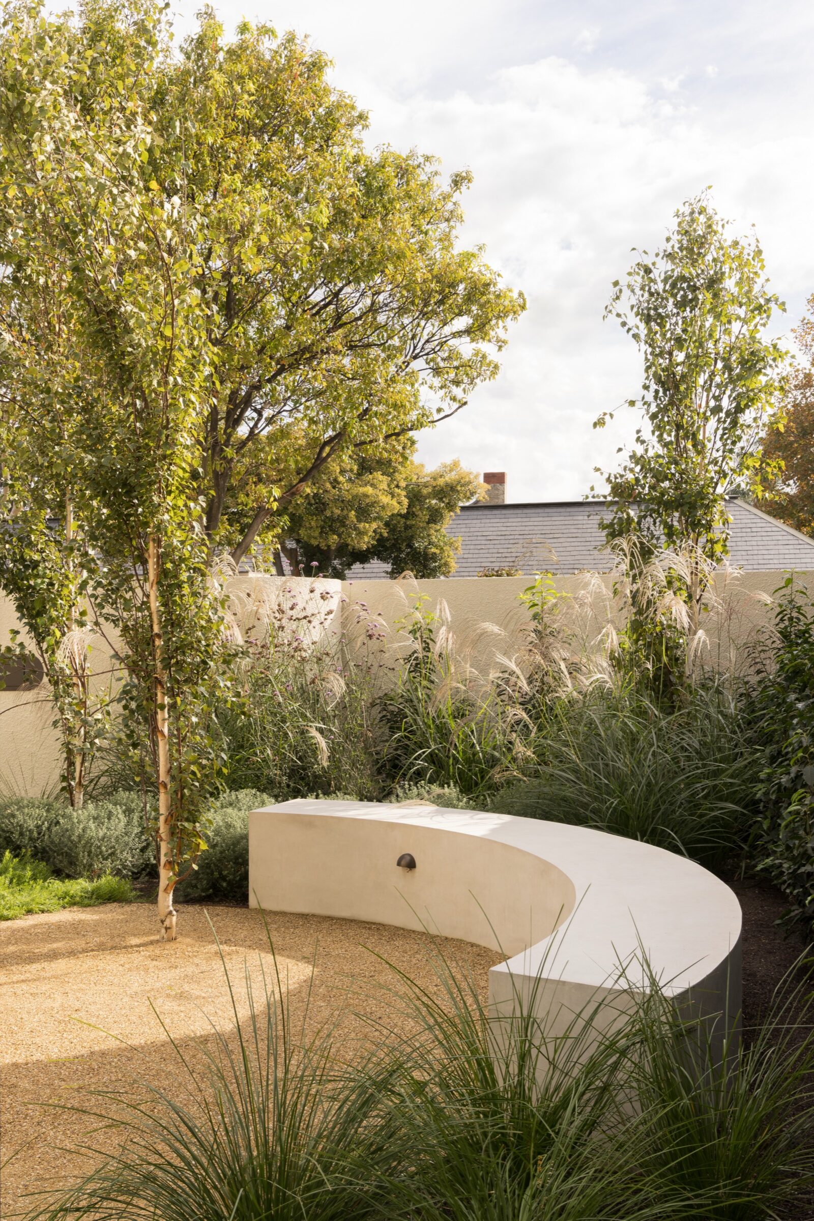 A Brighton garden by Iconic Gardens — a curved rendered bench and water spout set among backlit miscanthus and birches.