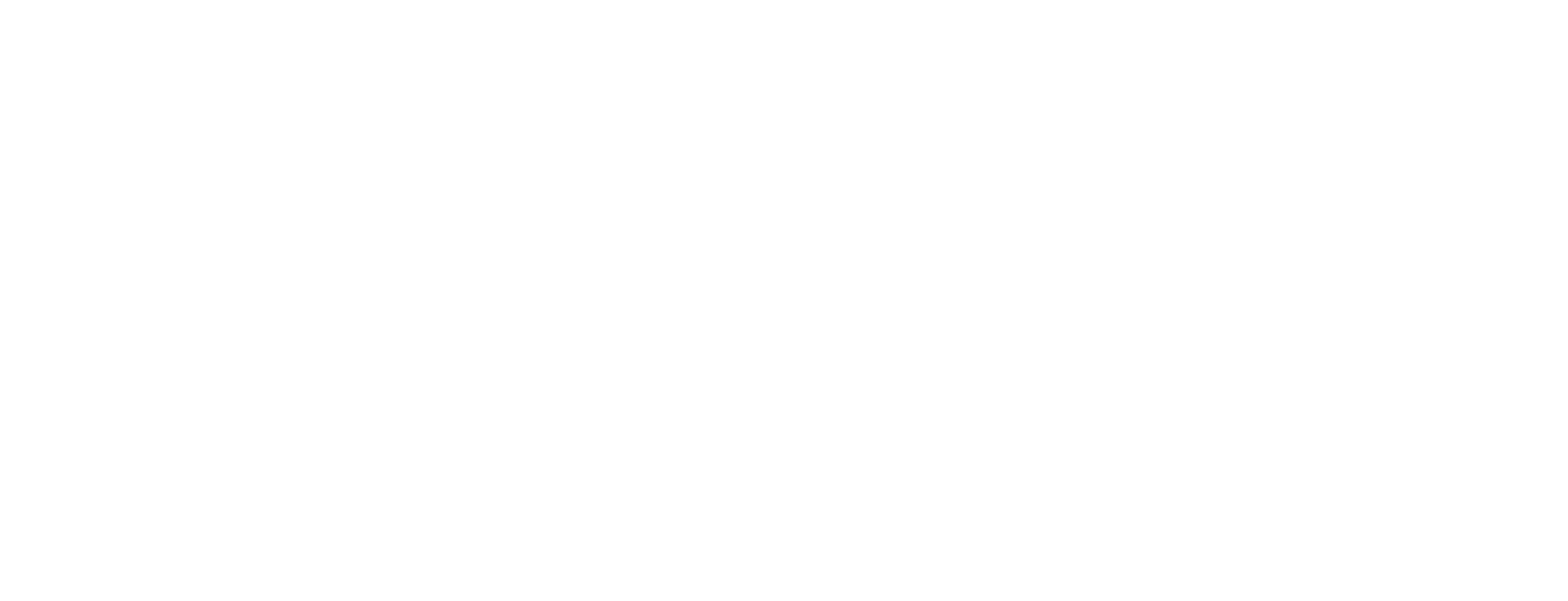 Registered Building Practioner Logo